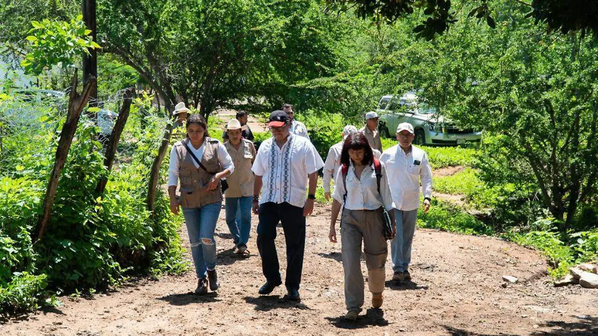 presentan-plan-estrategico-de-adaptacion-al-cambio-climatico2.