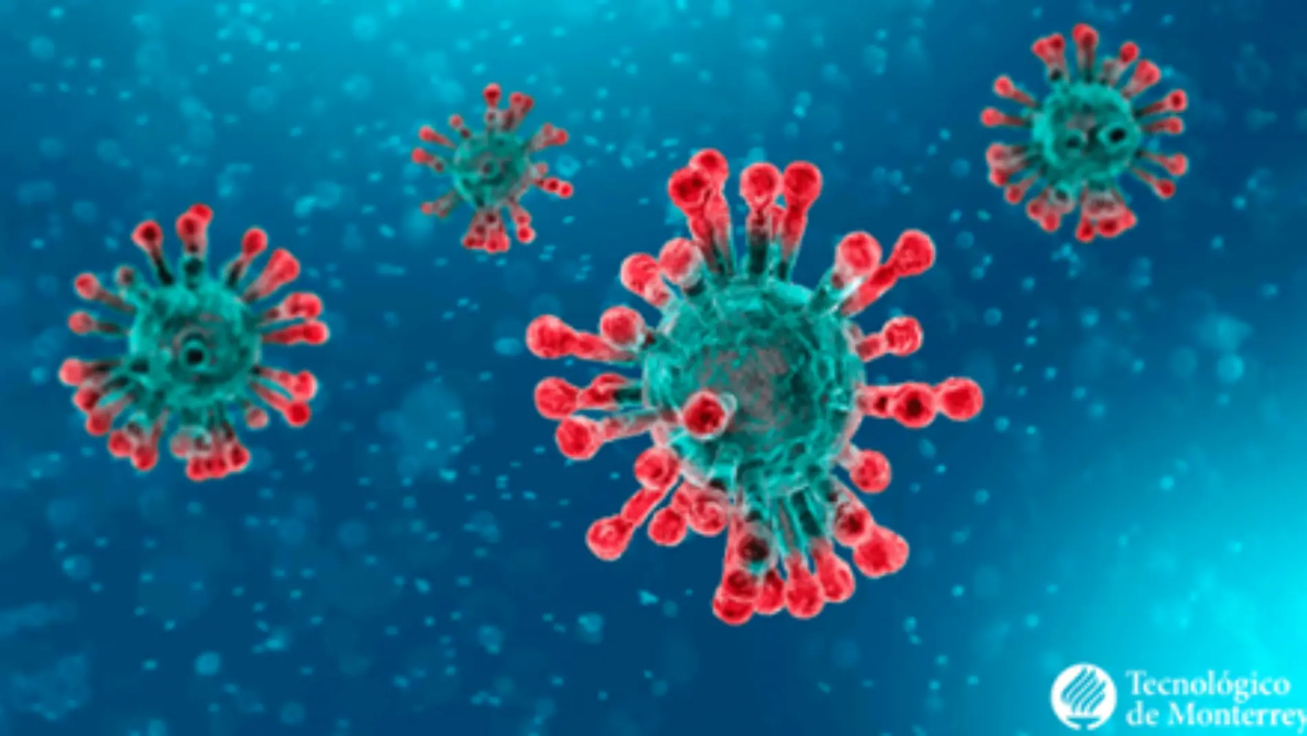 CORONAVIRUS