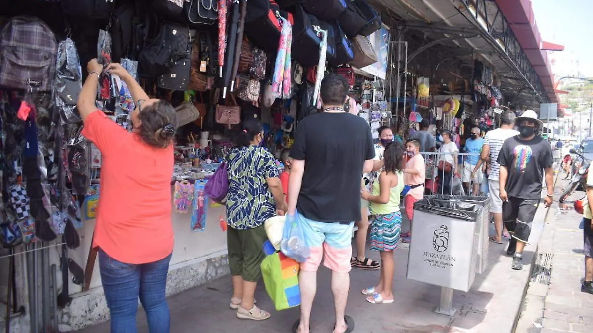 comercios mzt 