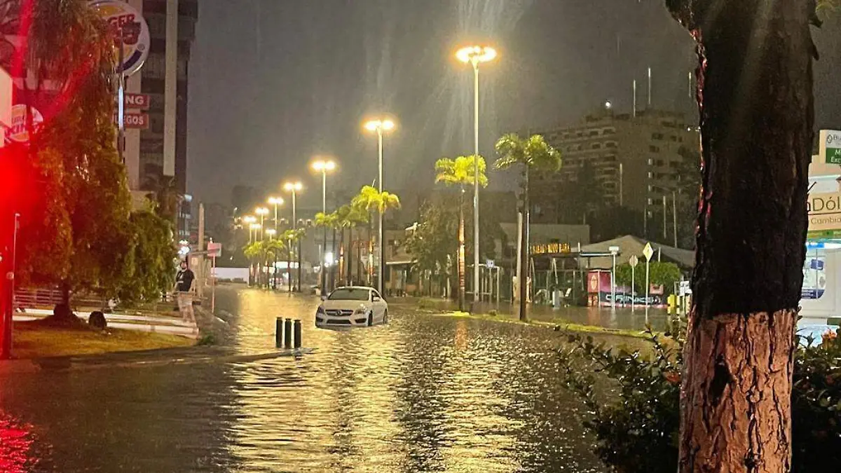 8bb89fba-0fc4-4309-8365-03039a5a532f