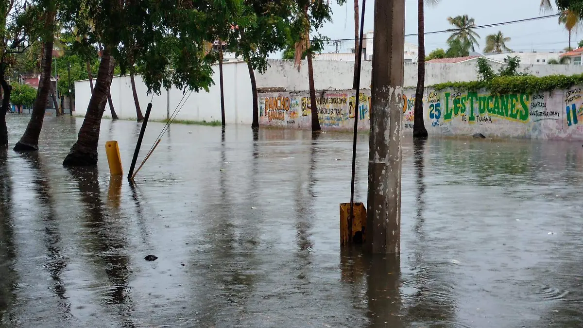 WhatsApp Image 2023-10-04 at 9.21.44 AM (2)