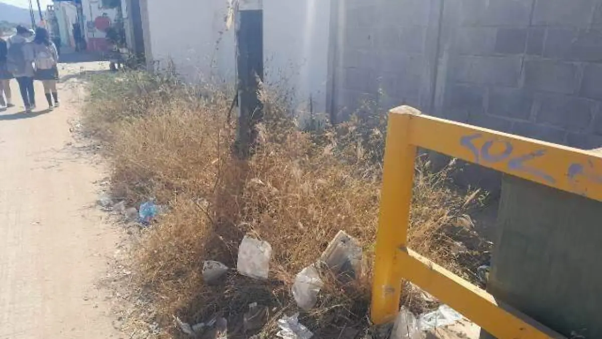 maleza-basura