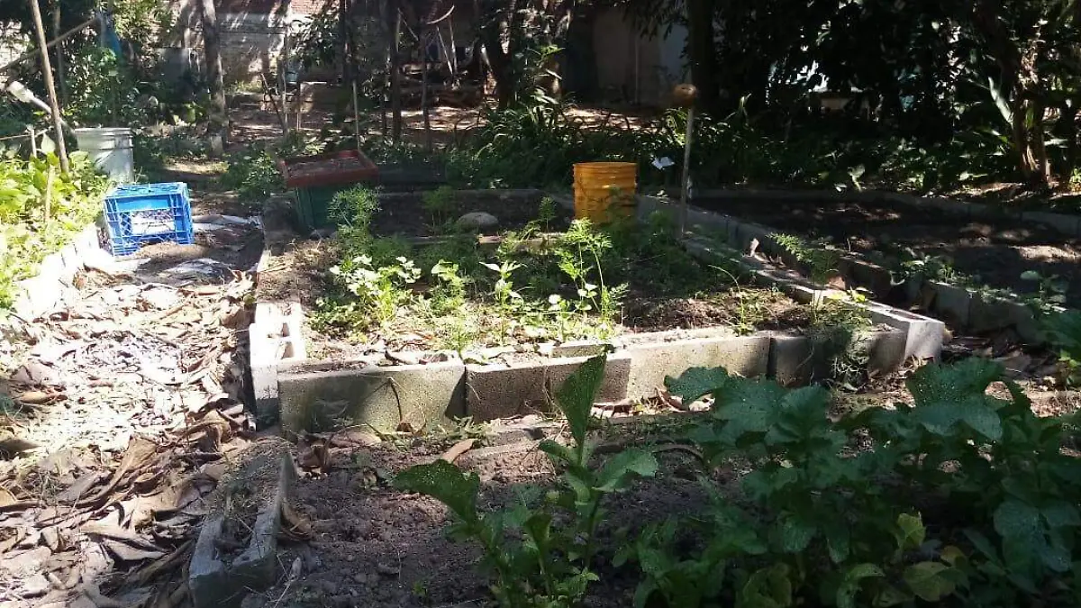 vivero