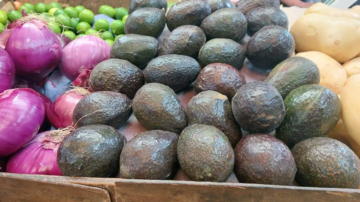 c7b08d8c-0f5c-49f7-99c6-8cc92f5bb0a3