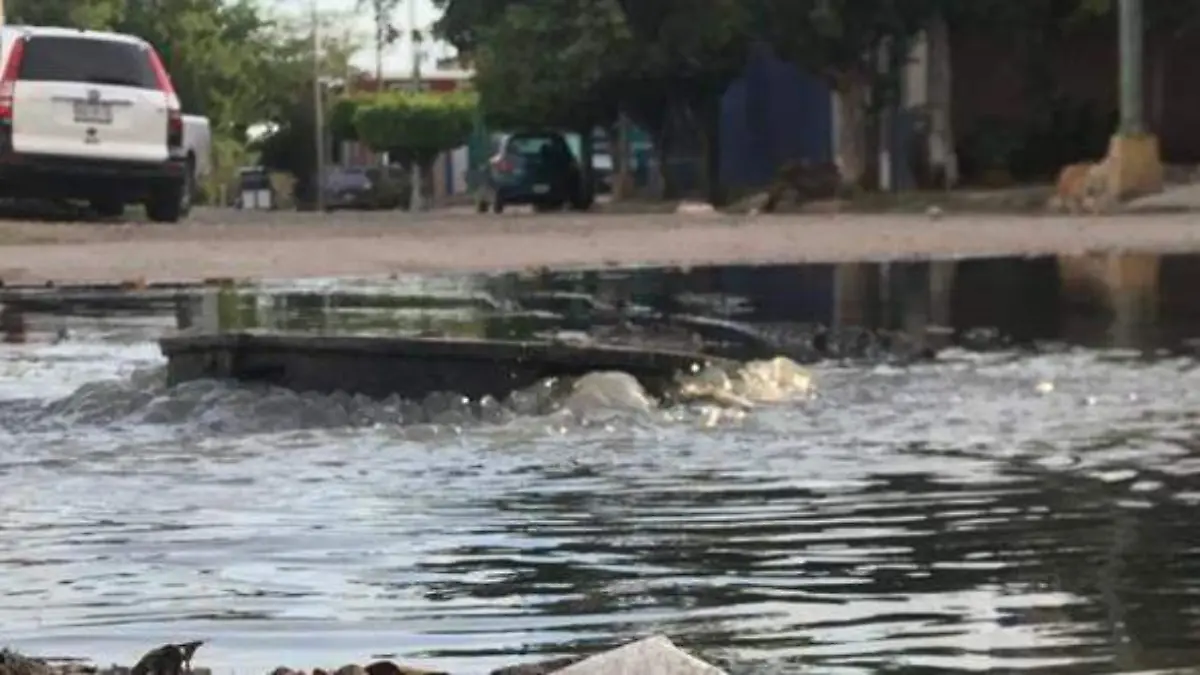 basura-alcantarilla-uno