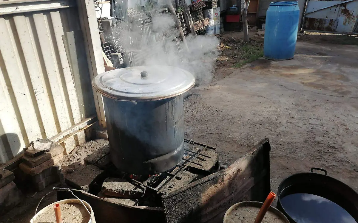 WhatsApp Image 2023-06-14 at 13.24.34