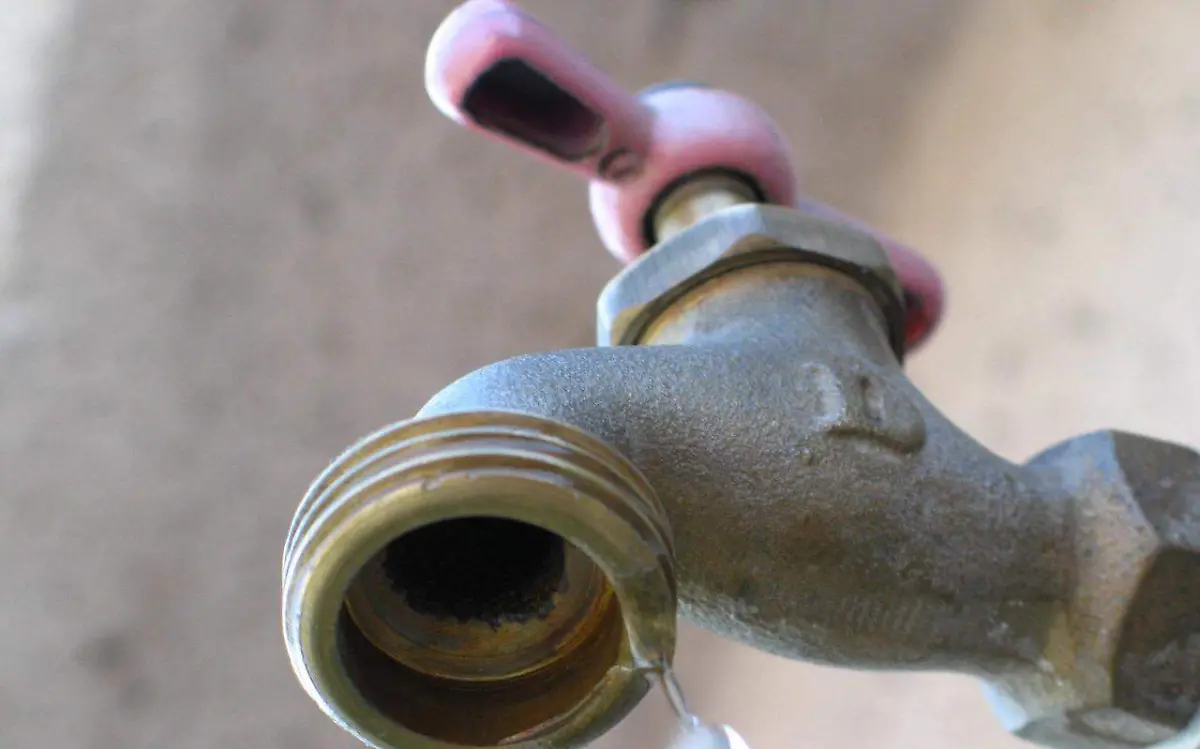 WhatsApp Image 2023-06-15 at 10.55.47