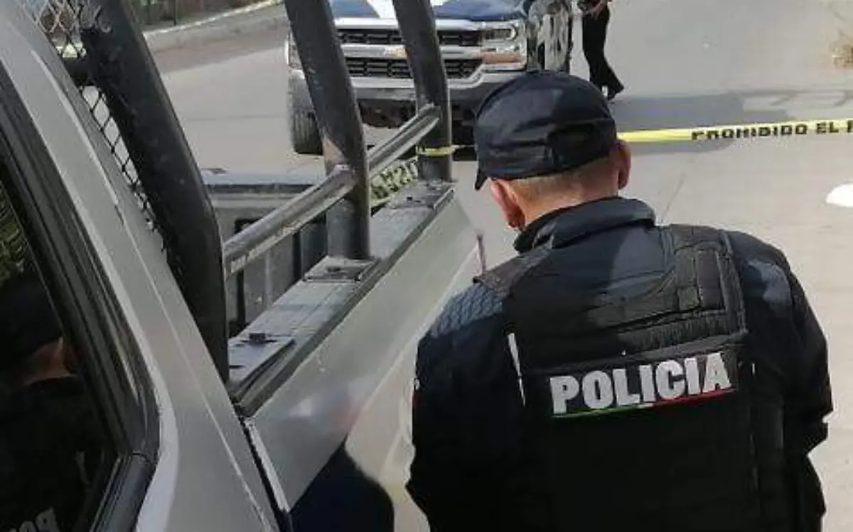 WhatsApp Image 2023-04-18 at 08.22.59