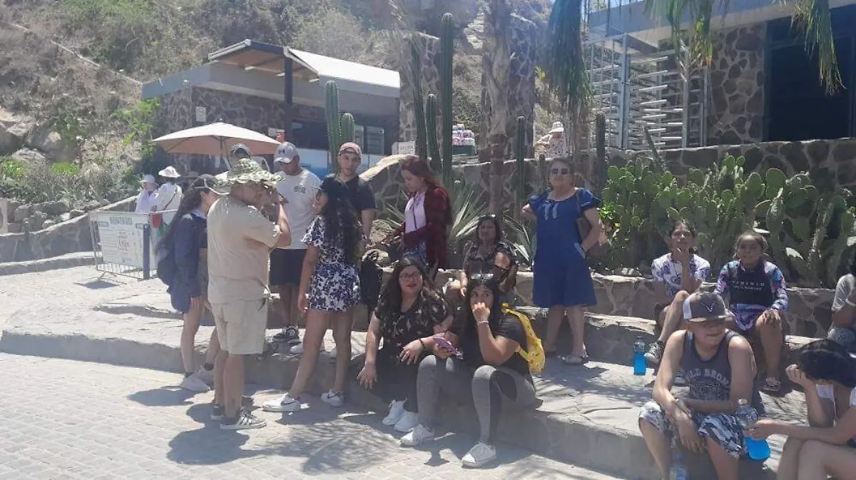 WhatsApp Image 2023-09-23 at 11.56.15 AM