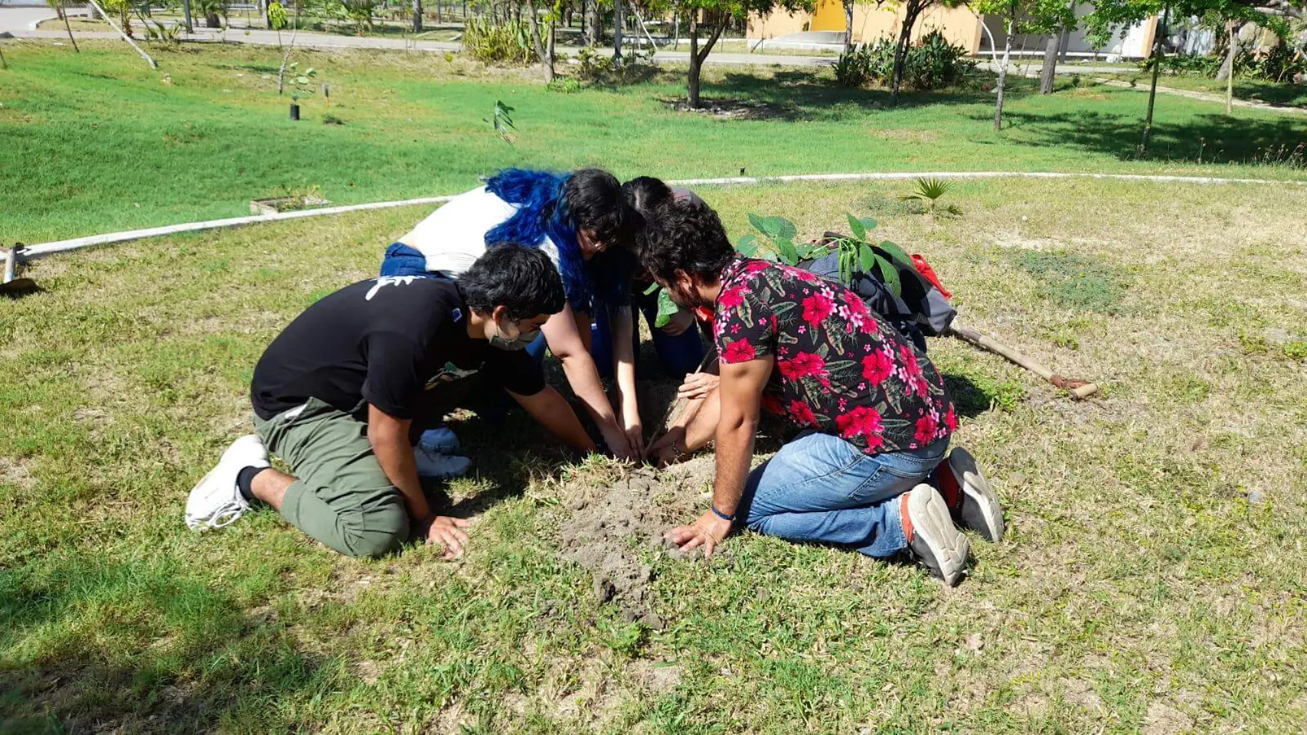 jovenes-plantan-arboles-en-parque-ecologico