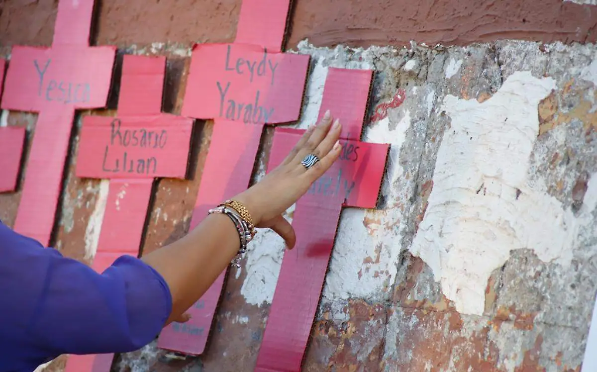 WhatsApp Image 2022-11-25 at 17.38.26