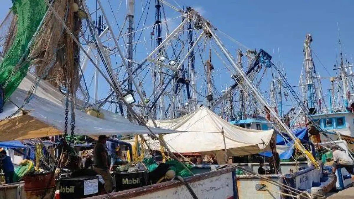 barcos - camaroneros