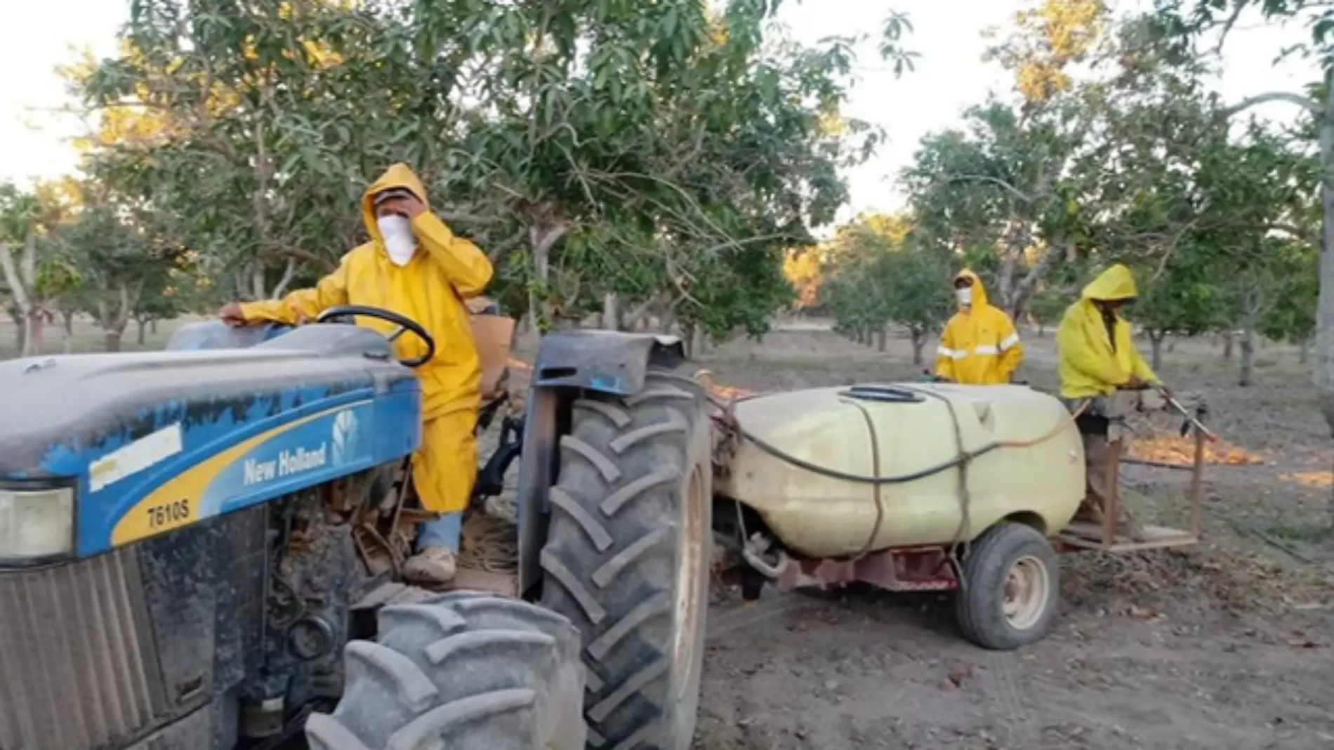 Agricultura