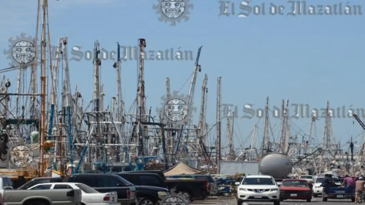 Advierten paralización de la flota.