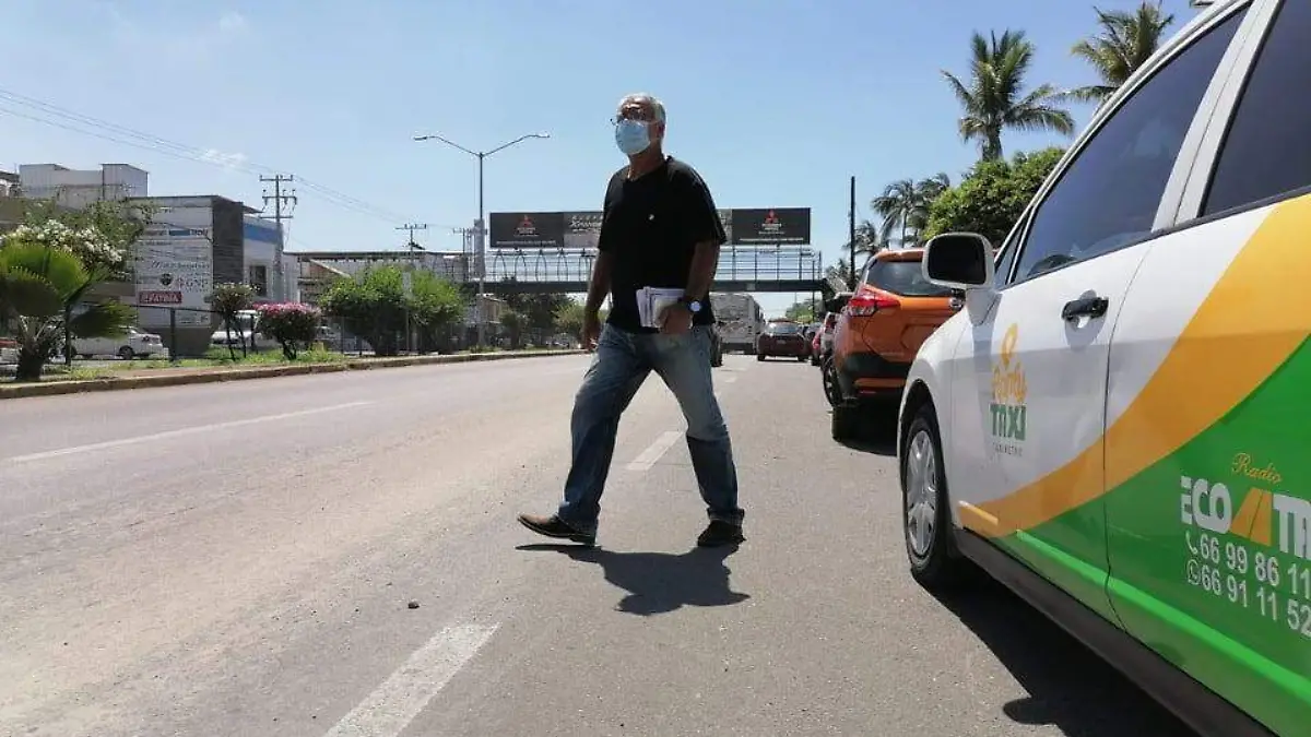 Avenidas de Mazatlán1