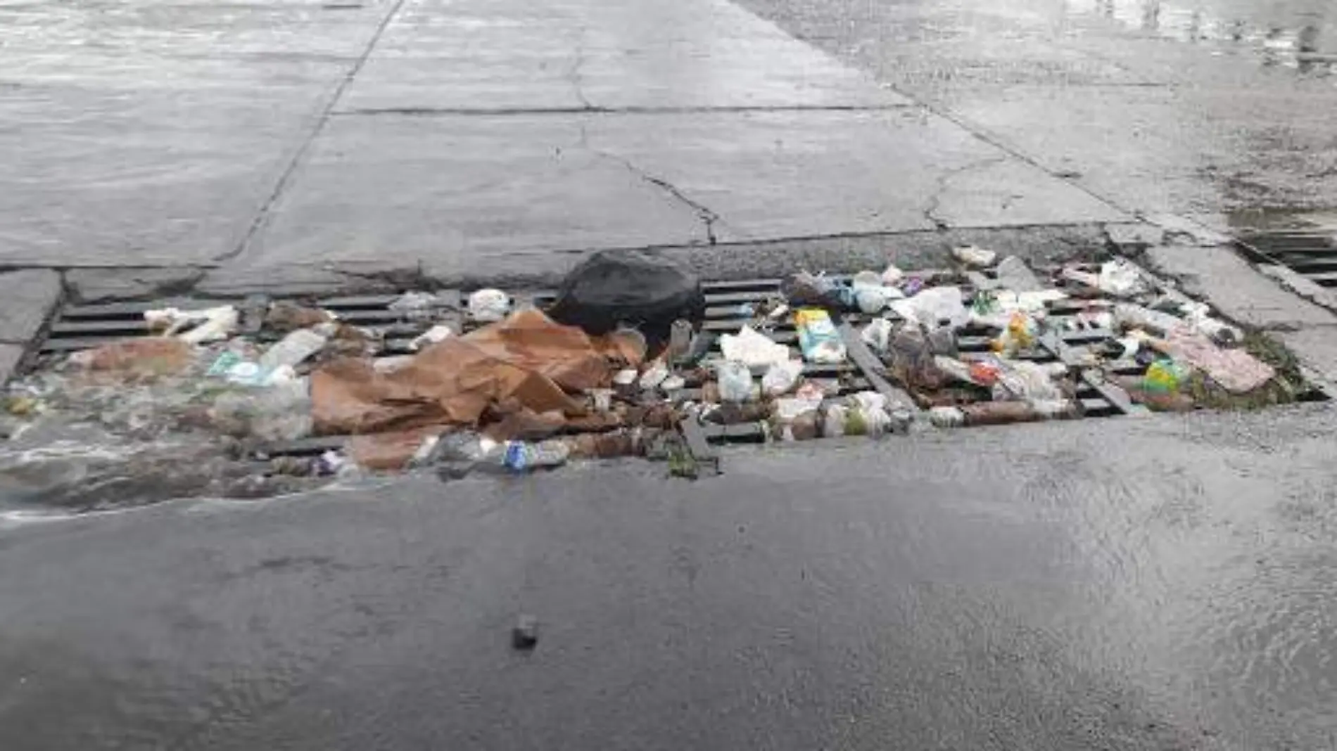 basura-alcantarilla