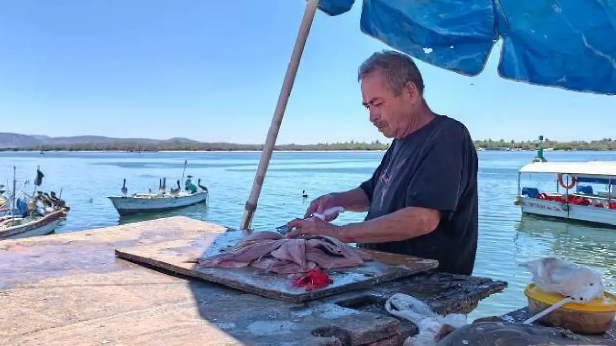 pescado