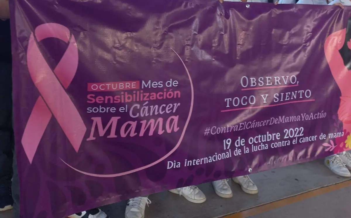 WhatsApp Image 2022-10-15 at 11.21.15