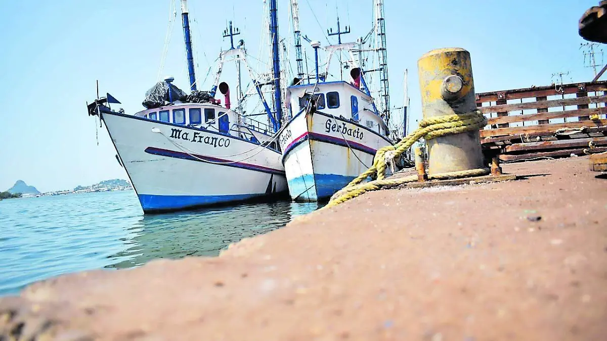 barcos