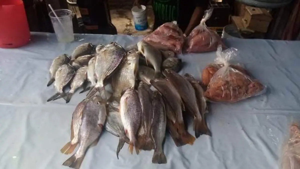 PESCADO UNO