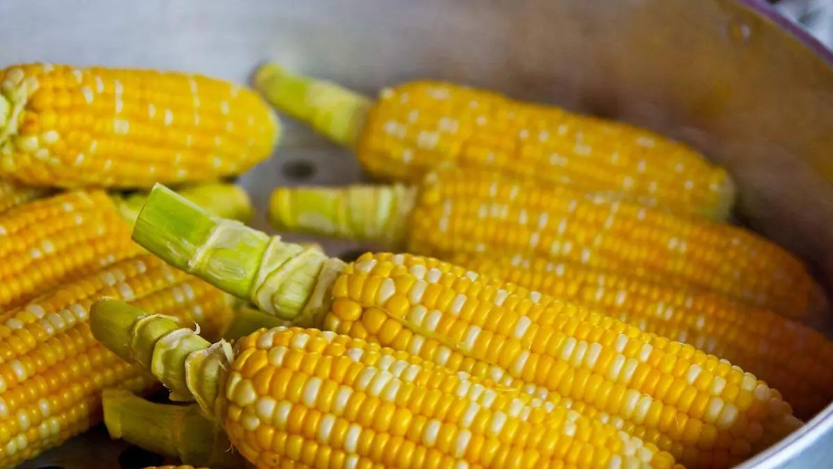 desplome-del-precio-del-elote