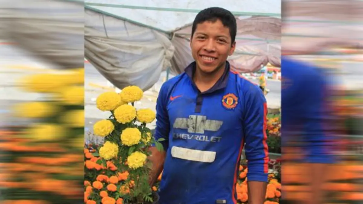 Adiós cempasúchil, bienvenida Nochebuena.