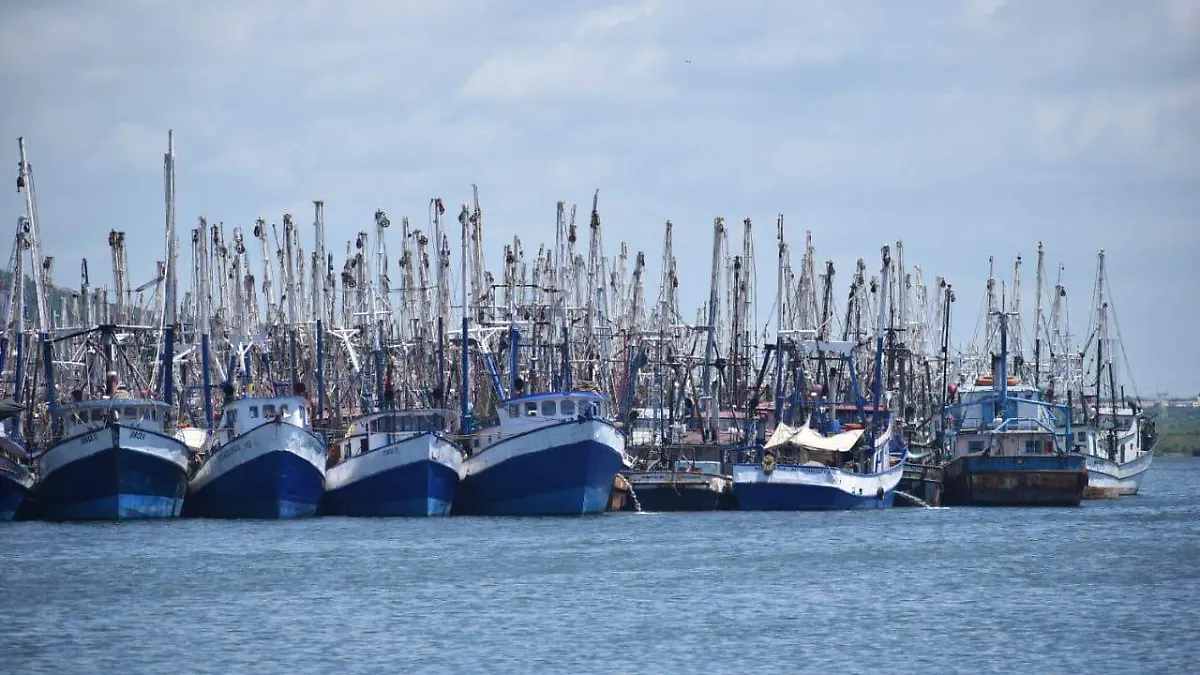 barcos 2