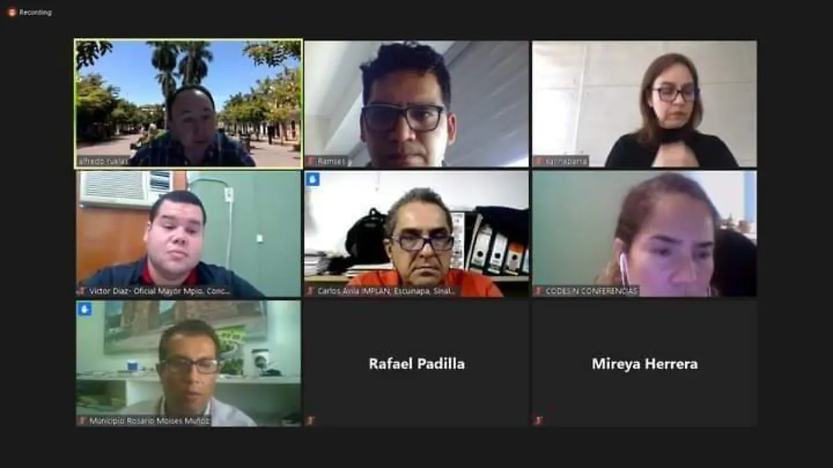Reunión Virtual