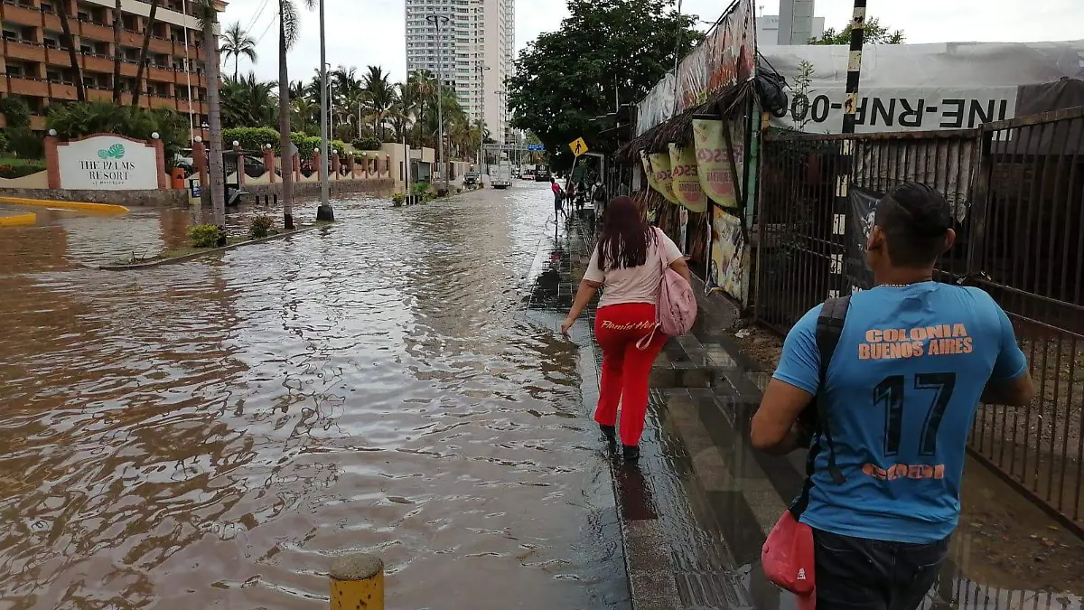 WhatsApp Image 2023-07-03 at 09.07.37