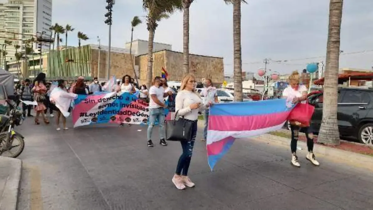 COLECTIVOSTRANSGENERO