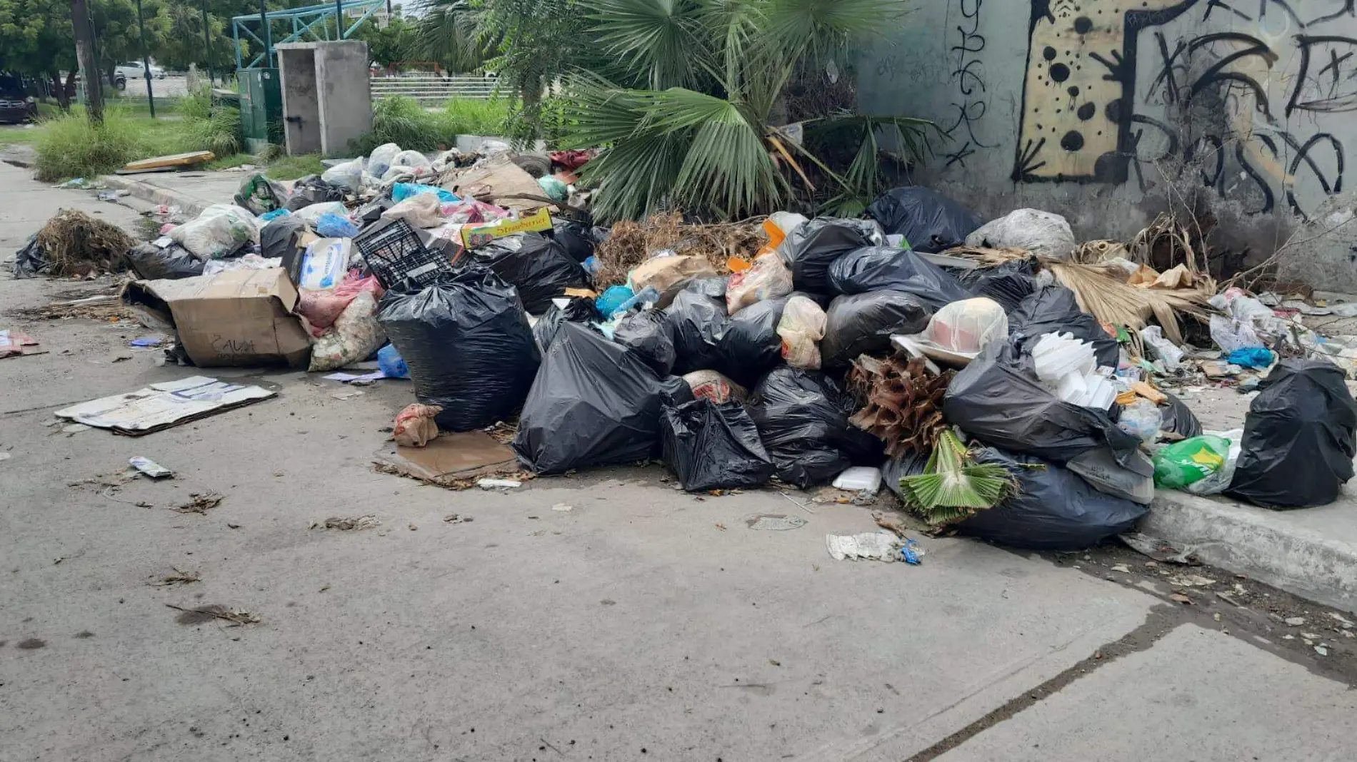 basura-infonavit-playas-mazatlan