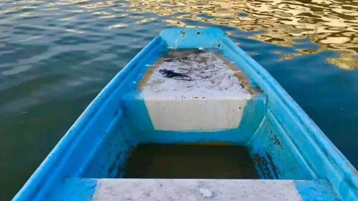 capturas de camarón (2)
