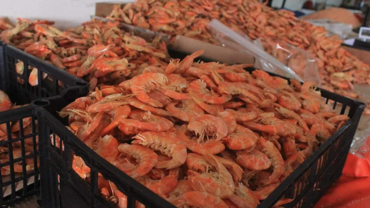 camarones