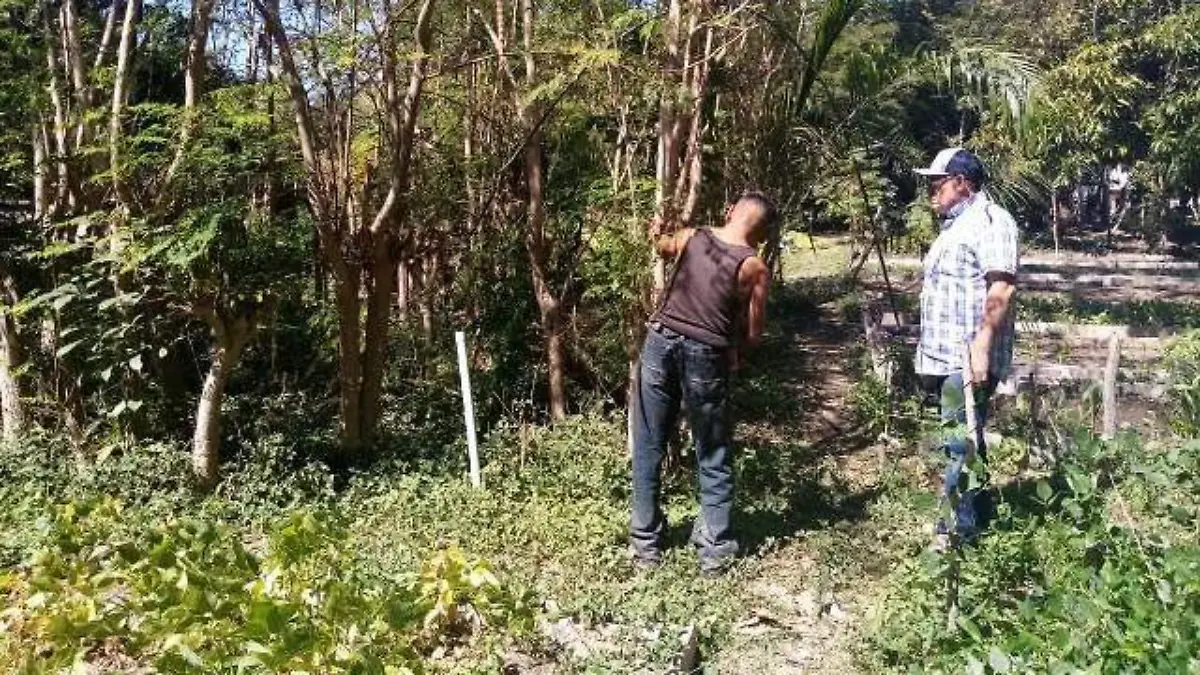 HUERTOS UNO