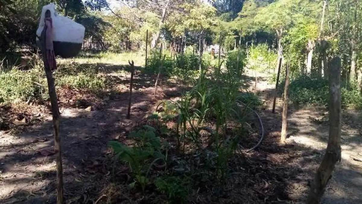 HUERTOS DOS