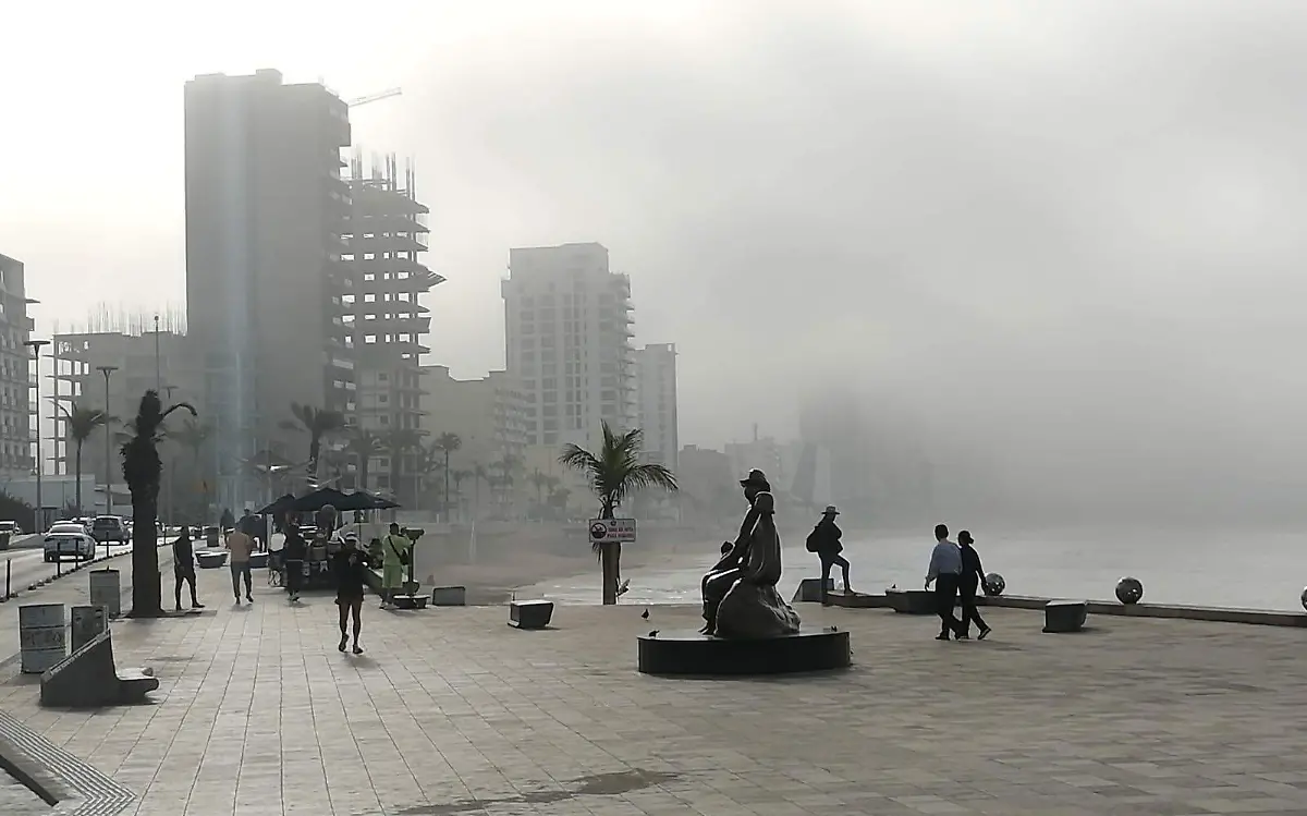 WhatsApp Image 2023-03-08 at 08.52.25