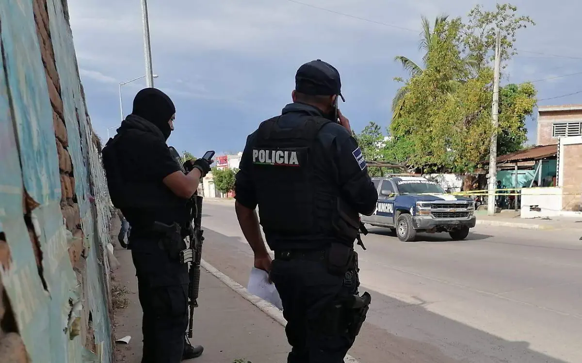 WhatsApp Image 2022-10-18 at 14.53.36