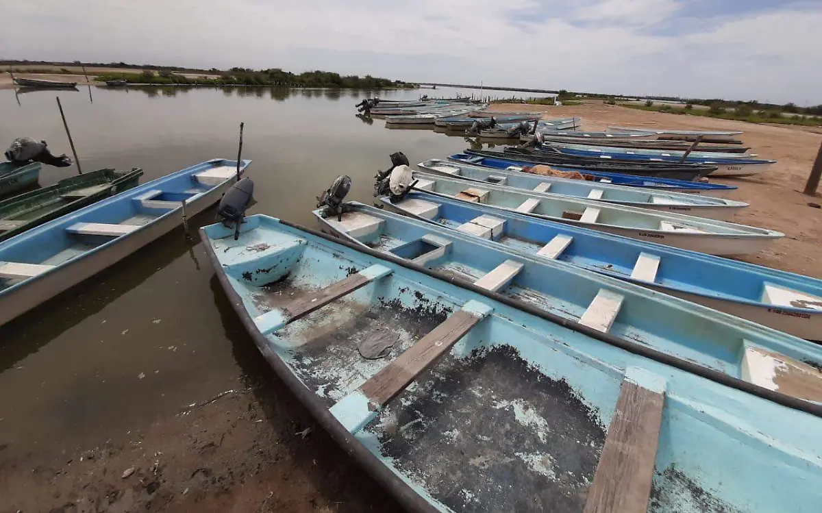 WhatsApp Image 2023-06-02 at 08.39.10