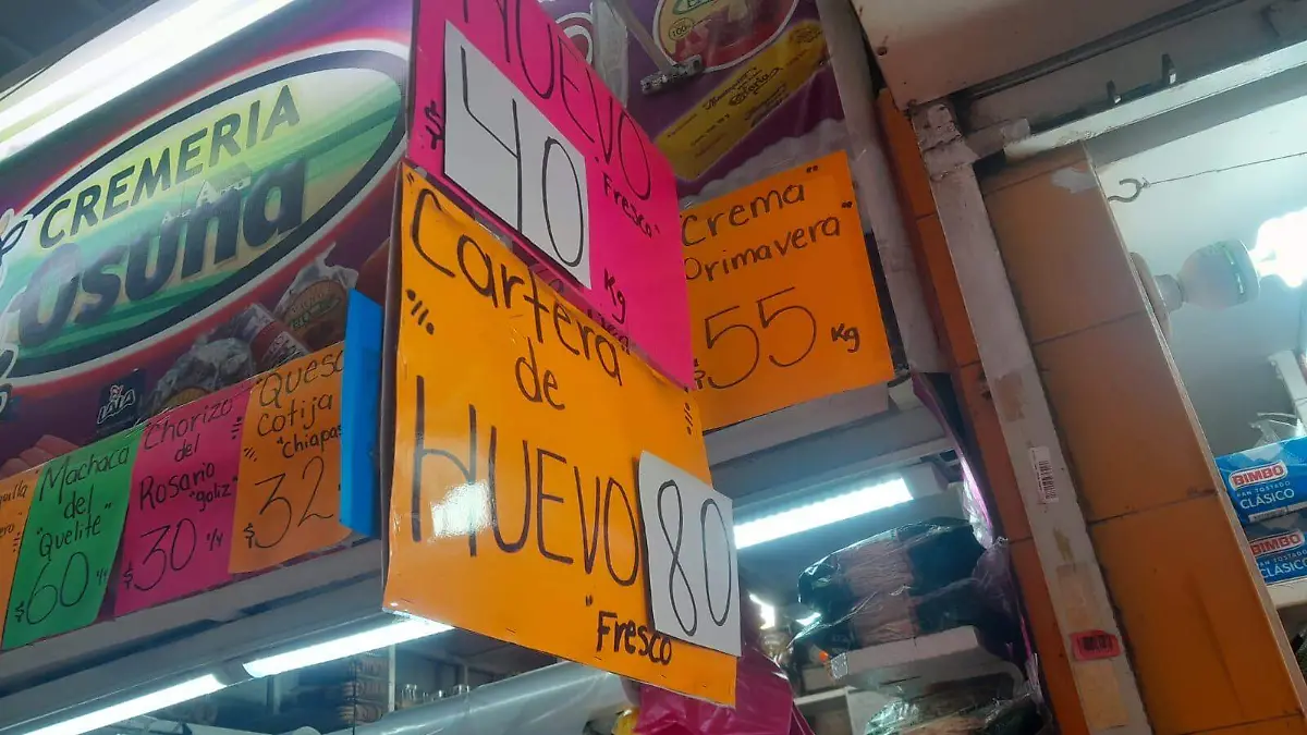 Imagen de WhatsApp 2023-07-22 a las 14.28.26