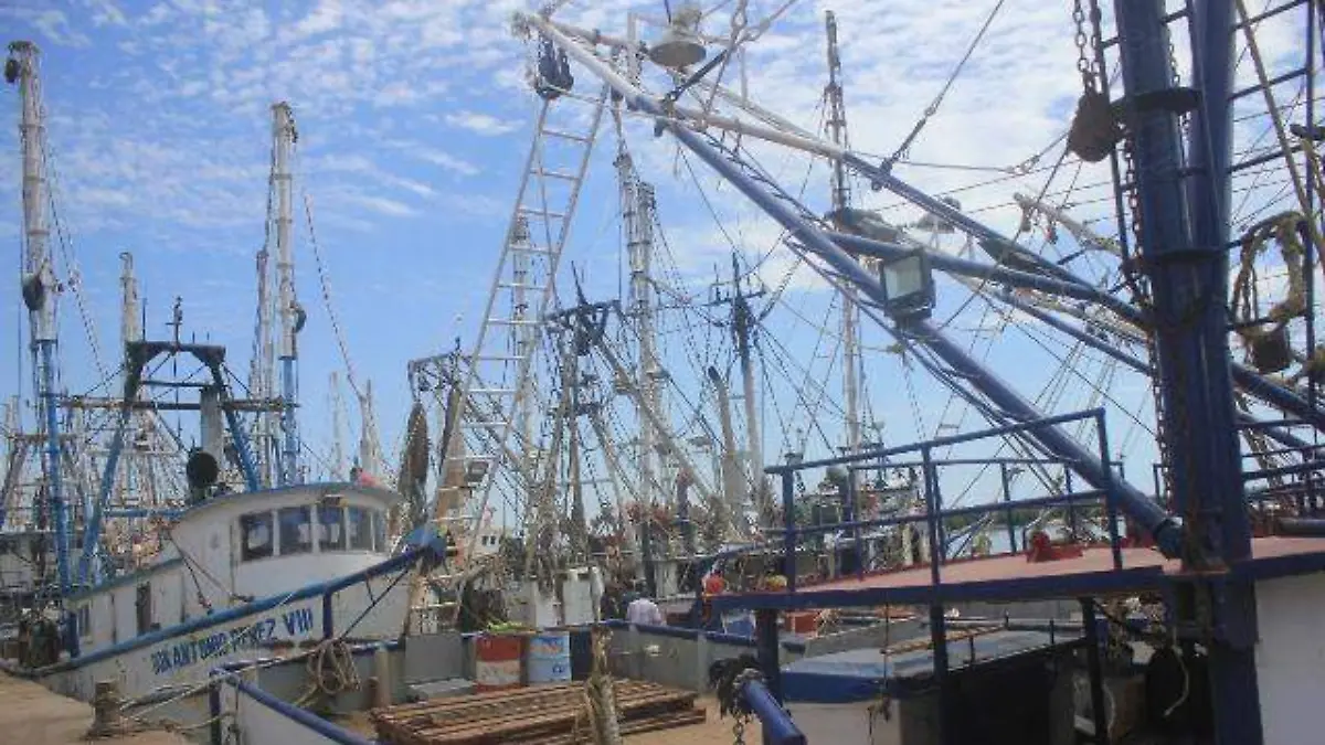MUELLEPARKEBONFIL