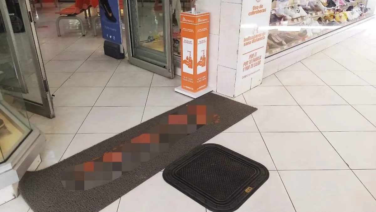 Tapetes Sanitizantes