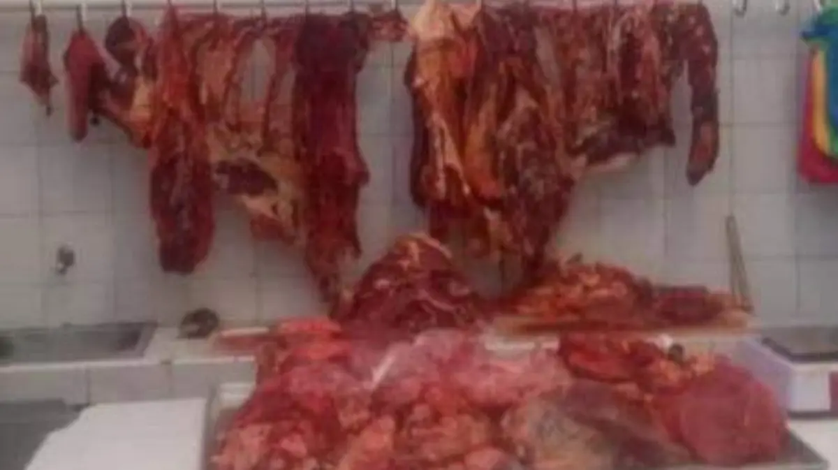 carniceria2