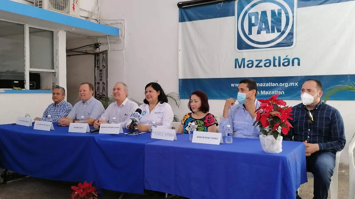 Panistas del sur