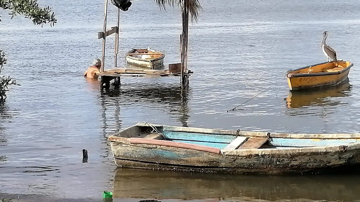 mujeres-pescadoras-de-sinaloa