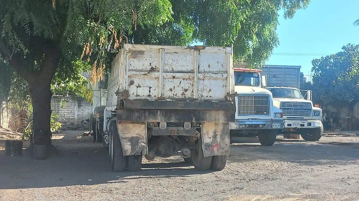 transporte de carga cip