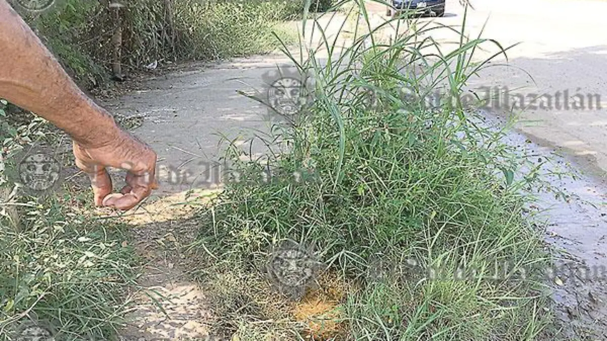 Denuncian ineficiencia de Jumapam