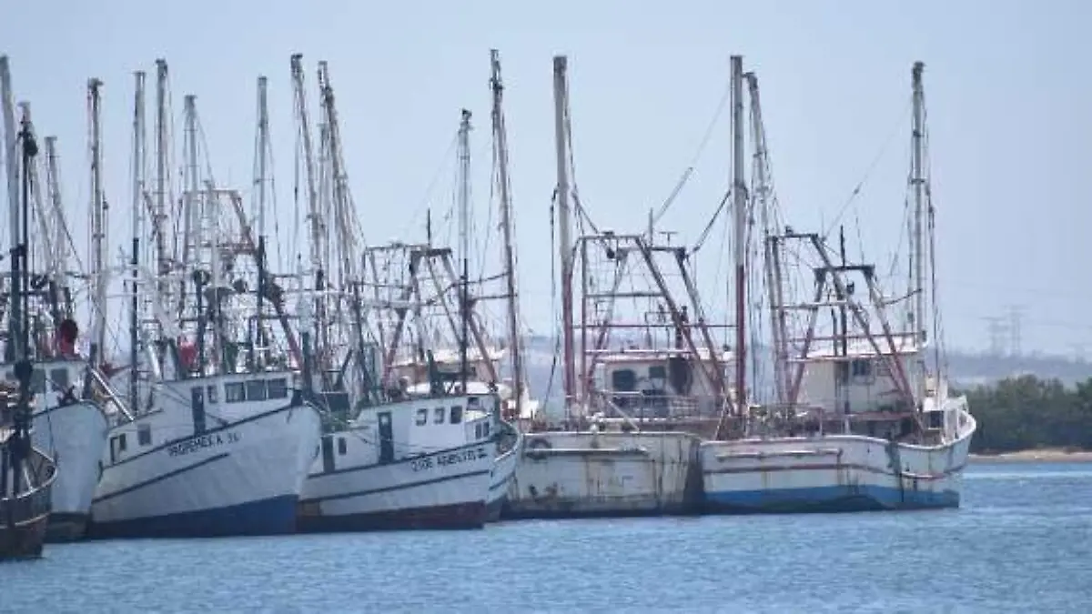 BARCOS
