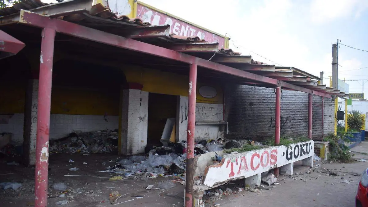 fraccionamiento del bosque 