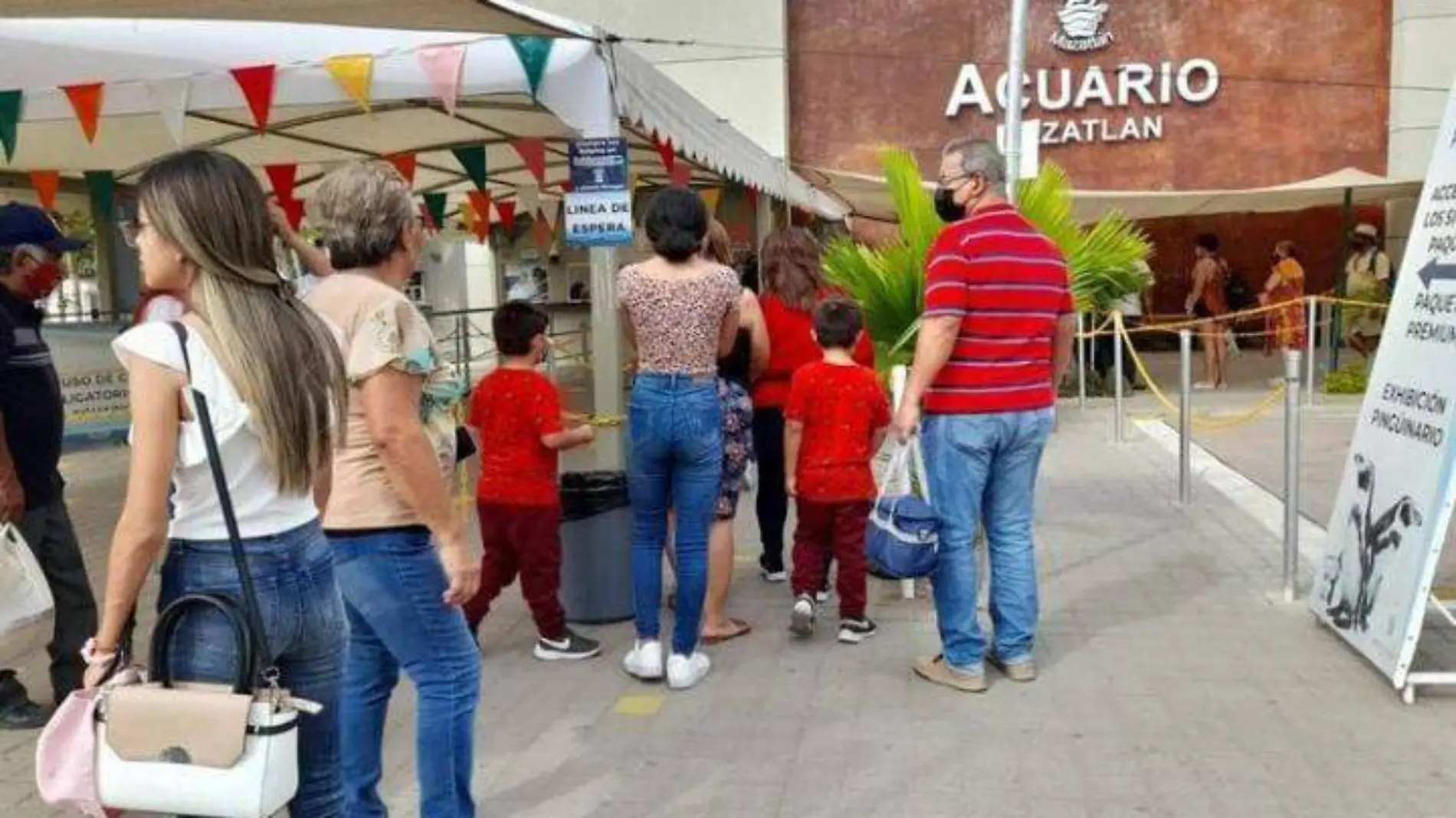 verano-acuario-mazatlan