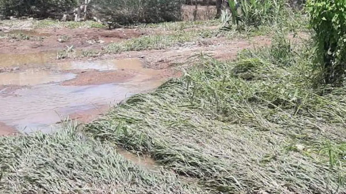 Desbordamiento del rio Las Cañas12